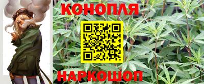 хмурый Будённовск