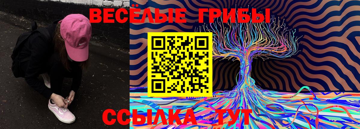 Галлюциногенные грибы Cubensis  Вход с VPN  Глазов 